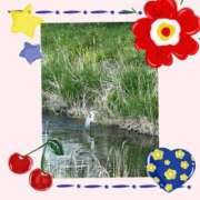 ヒメ日記 2025/05/03 10:15 投稿 せいか 新大阪秘密倶楽部