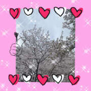 ヒメ日記 2026/04/08 11:15 投稿 せいか 新大阪秘密倶楽部