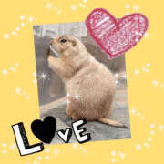 ヒメ日記 2026/04/16 11:15 投稿 せいか 新大阪秘密倶楽部