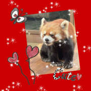 ヒメ日記 2026/04/20 11:15 投稿 せいか 新大阪秘密倶楽部