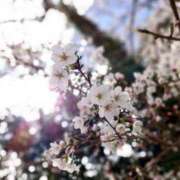 ヒメ日記 2025/04/09 18:19 投稿 しき　奥様 SUTEKIな奥様は好きですか?