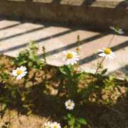 ヒメ日記 2025/05/14 21:03 投稿 しき　奥様 SUTEKIな奥様は好きですか?