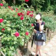 ヒメ日記 2025/07/10 12:19 投稿 しき　奥様 SUTEKIな奥様は好きですか?