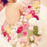 ヒメ日記 2025/08/22 11:06 投稿 しき　奥様 SUTEKIな奥様は好きですか?