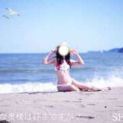 ヒメ日記 2025/08/23 15:51 投稿 しき　奥様 SUTEKIな奥様は好きですか?