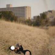 ヒメ日記 2025/11/08 11:48 投稿 しき　奥様 SUTEKIな奥様は好きですか?