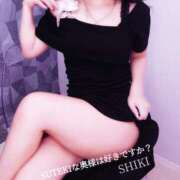 ヒメ日記 2026/01/20 10:18 投稿 しき　奥様 SUTEKIな奥様は好きですか?