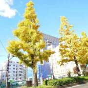 ヒメ日記 2026/05/18 11:18 投稿 しき　奥様 SUTEKIな奥様は好きですか?