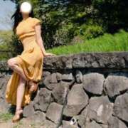 ヒメ日記 2026/06/07 11:49 投稿 しき　奥様 SUTEKIな奥様は好きですか?