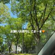 ヒメ日記 2025/05/13 11:48 投稿 ゆり　奥様 SUTEKIな奥様は好きですか?