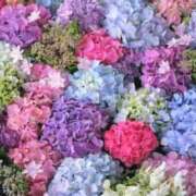 ヒメ日記 2025/05/19 13:48 投稿 ゆり　奥様 SUTEKIな奥様は好きですか?