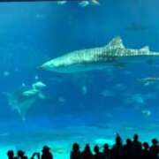 ヒメ日記 2025/05/23 21:12 投稿 ゆり　奥様 SUTEKIな奥様は好きですか?