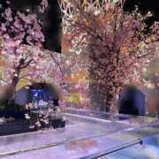 ヒメ日記 2026/03/20 12:09 投稿 さつき ぽっちゃりデリヘル倶楽部