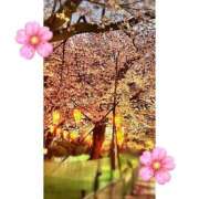 ヒメ日記 2026/04/06 20:29 投稿 さつき ぽっちゃりデリヘル倶楽部