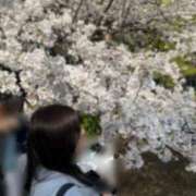 ヒメ日記 2026/04/11 15:29 投稿 さつき ぽっちゃりデリヘル倶楽部