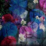 ヒメ日記 2024/12/18 21:05 投稿 まや 新大阪秘密倶楽部