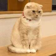 ヒメ日記 2024/12/31 09:05 投稿 まや 新大阪秘密倶楽部