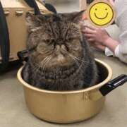 ヒメ日記 2025/01/20 23:05 投稿 まや 新大阪秘密倶楽部