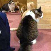 ヒメ日記 2025/02/15 19:00 投稿 まや 新大阪秘密倶楽部