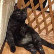 ヒメ日記 2025/02/23 20:55 投稿 まや 新大阪秘密倶楽部