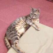 ヒメ日記 2025/03/04 19:05 投稿 まや 新大阪秘密倶楽部