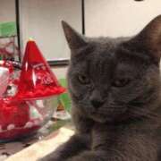 ヒメ日記 2025/03/31 05:45 投稿 まや 新大阪秘密倶楽部