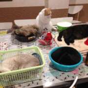 ヒメ日記 2025/03/31 22:05 投稿 まや 新大阪秘密倶楽部