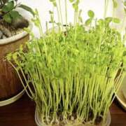 ヒメ日記 2025/05/24 23:05 投稿 まや 新大阪秘密倶楽部