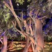 ヒメ日記 2025/06/03 21:30 投稿 まや 新大阪秘密倶楽部