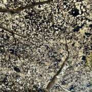 ヒメ日記 2026/04/05 19:45 投稿 まや 新大阪秘密倶楽部