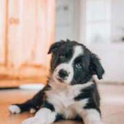 ヒメ日記 2025/03/15 20:12 投稿 らな　奥様 SUTEKIな奥様は好きですか?