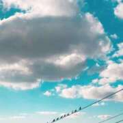 ヒメ日記 2025/05/03 13:19 投稿 らな　奥様 SUTEKIな奥様は好きですか?