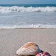 ヒメ日記 2025/05/06 19:48 投稿 らな　奥様 SUTEKIな奥様は好きですか?