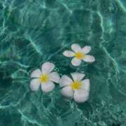 ヒメ日記 2025/06/07 14:27 投稿 らな　奥様 SUTEKIな奥様は好きですか?