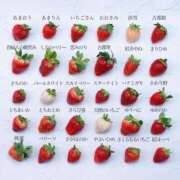 ヒメ日記 2025/03/22 13:33 投稿 くみ　奥様 SUTEKIな奥様は好きですか?