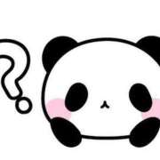 ヒメ日記 2025/03/25 04:18 投稿 くみ　奥様 SUTEKIな奥様は好きですか?