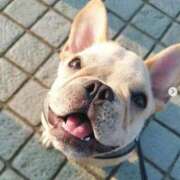 ヒメ日記 2025/05/27 17:42 投稿 くみ　奥様 SUTEKIな奥様は好きですか?