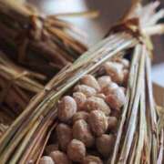 ヒメ日記 2025/07/12 13:12 投稿 くみ　奥様 SUTEKIな奥様は好きですか?