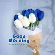 ヒメ日記 2025/07/18 08:45 投稿 くみ　奥様 SUTEKIな奥様は好きですか?