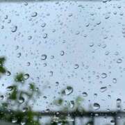 ヒメ日記 2025/08/06 08:24 投稿 くみ　奥様 SUTEKIな奥様は好きですか?