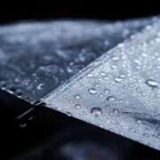 ヒメ日記 2025/09/08 09:16 投稿 くみ　奥様 SUTEKIな奥様は好きですか?