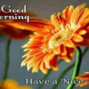 ヒメ日記 2025/10/06 09:18 投稿 くみ　奥様 SUTEKIな奥様は好きですか?