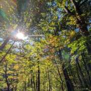 ヒメ日記 2025/10/30 02:18 投稿 くみ　奥様 SUTEKIな奥様は好きですか?