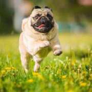 ヒメ日記 2025/11/03 07:18 投稿 くみ　奥様 SUTEKIな奥様は好きですか?