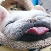 くみ　奥様 急遽お知らせ(・∀・) SUTEKIな奥様は好きですか?