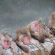 くみ　奥様 [お題]&次回予定(・∀・) SUTEKIな奥様は好きですか?