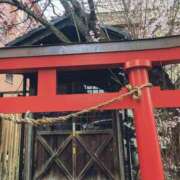 ヒメ日記 2026/04/01 10:49 投稿 くみ　奥様 SUTEKIな奥様は好きですか?