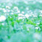 ヒメ日記 2025/12/09 08:48 投稿 そよか　奥様 SUTEKIな奥様は好きですか?