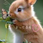 ヒメ日記 2025/07/27 10:45 投稿 りこ 横浜人妻花壇本店