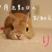 ヒメ日記 2025/08/20 22:07 投稿 りこ 横浜人妻花壇本店